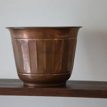 L'ibisco Di Fiorella