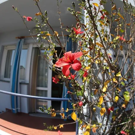 Apartment L'ibisco Di Fiorella