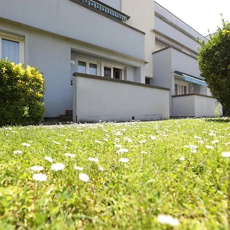 L'ibisco Di Fiorella Viareggio
